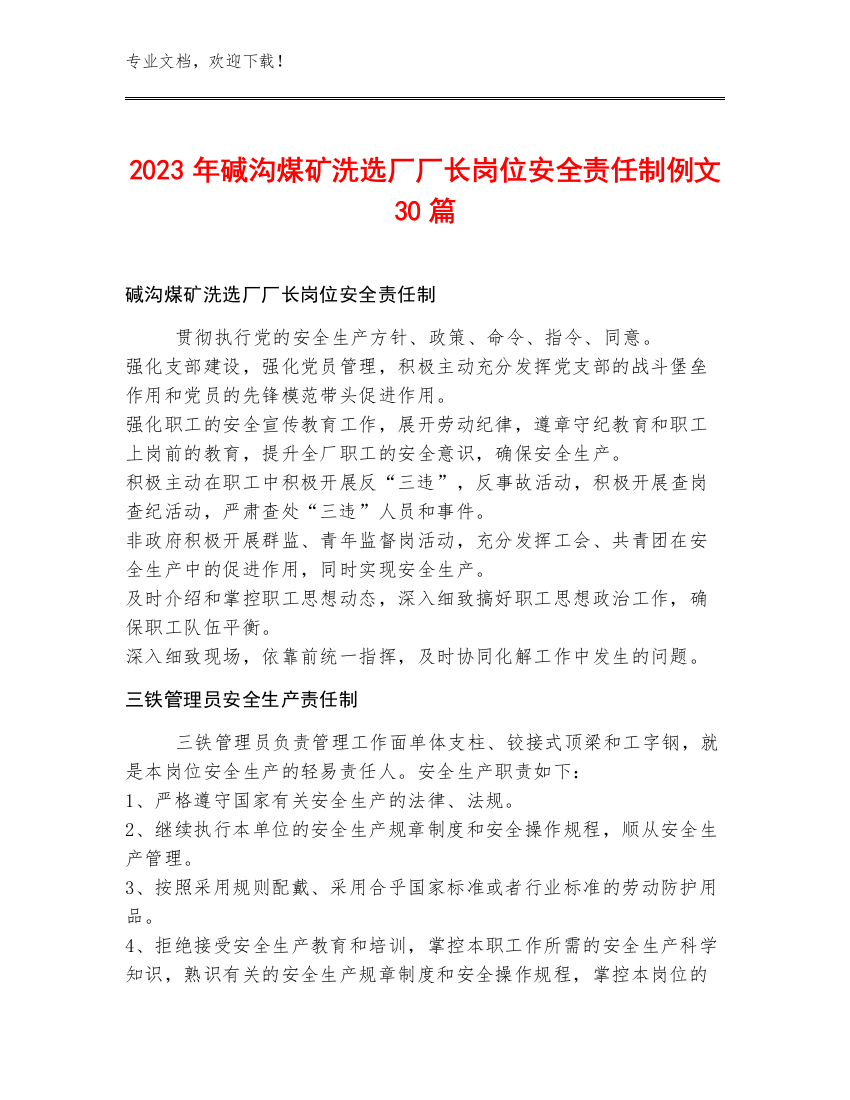 2023年碱沟煤矿洗选厂厂长岗位安全责任制例文30篇