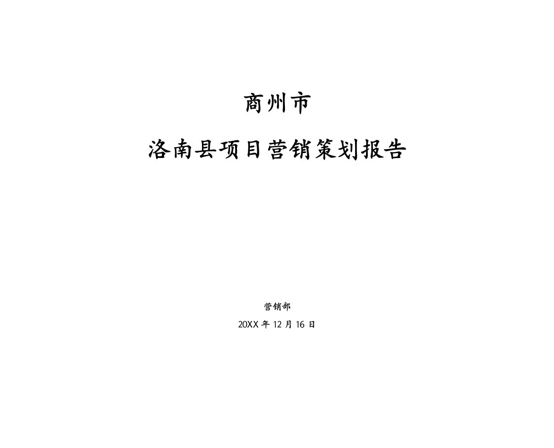 年度报告-洛南县项目营销策划报告12月16日