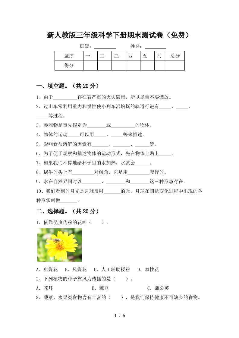 新人教版三年级科学下册期末测试卷免费