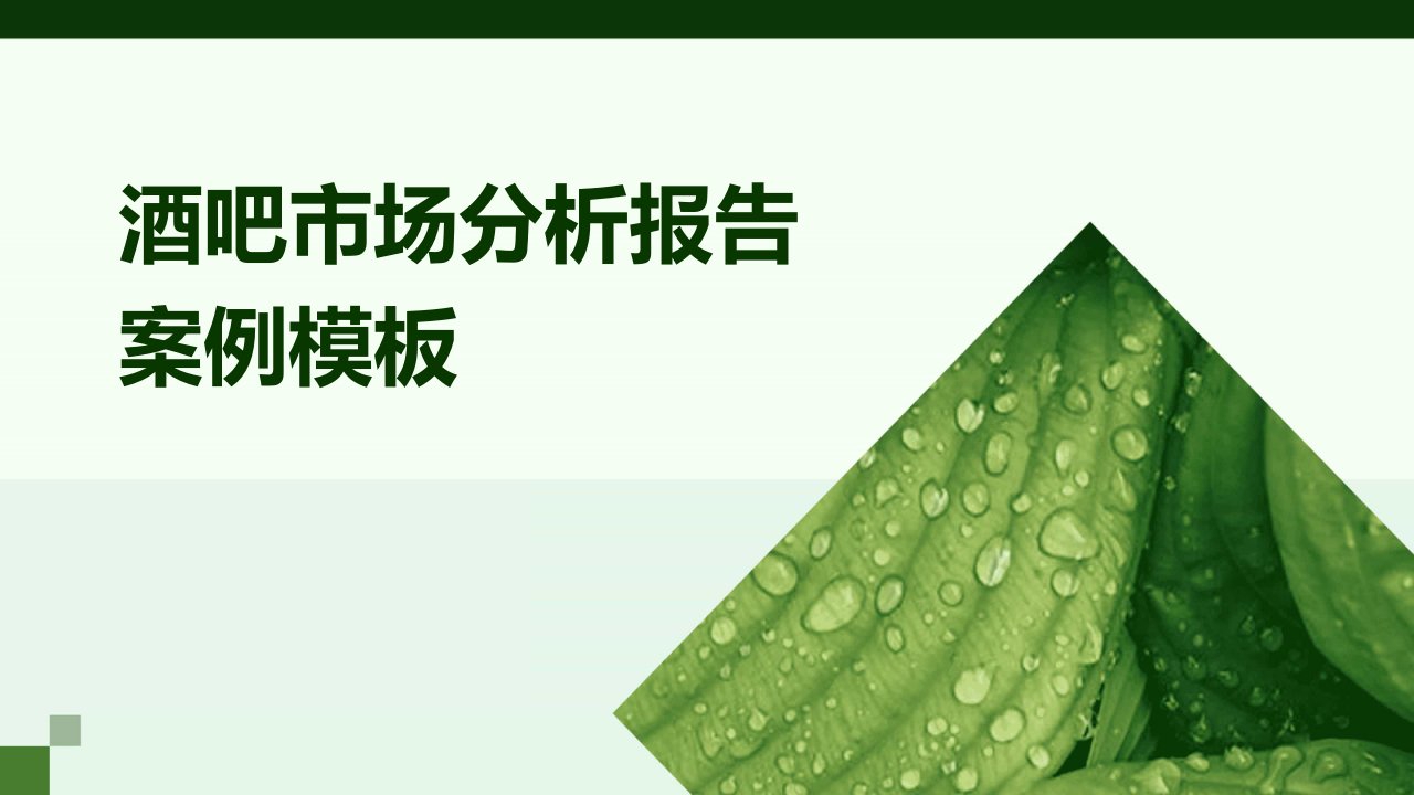 酒吧市场分析报告案例模板