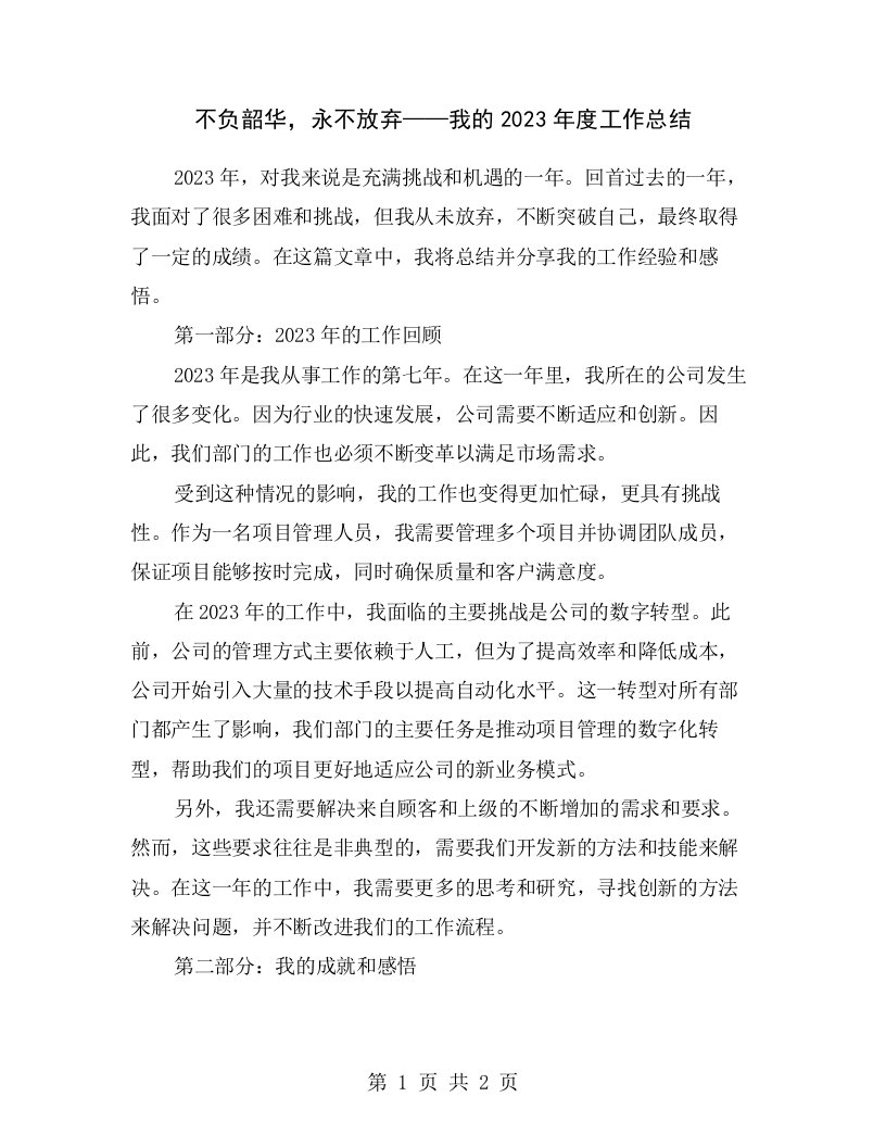 不负韶华，永不放弃——我的2023年度工作总结