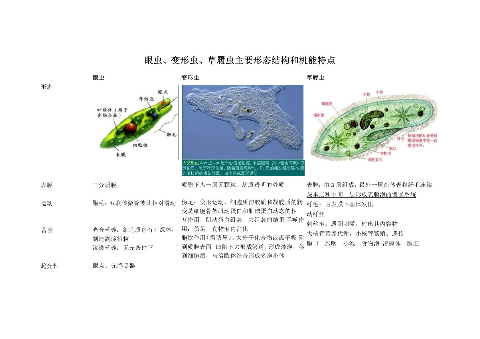 眼虫变形虫草履虫主要形态结构和机能特点