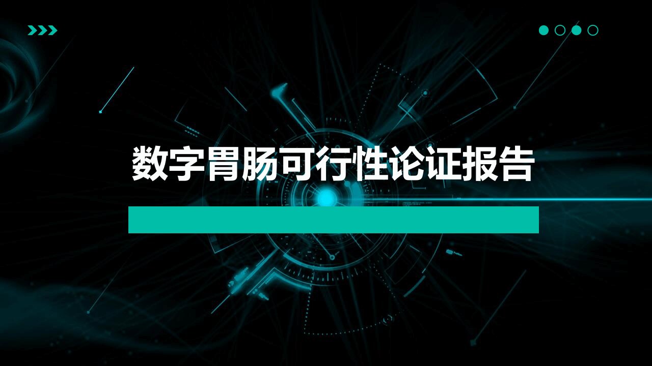 数字胃肠可行性论证报告