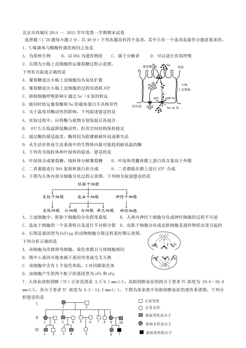 2015西城区高三期末考试生物试题及答案