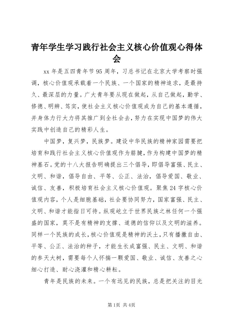 5青年学生学习践行社会主义核心价值观心得体会