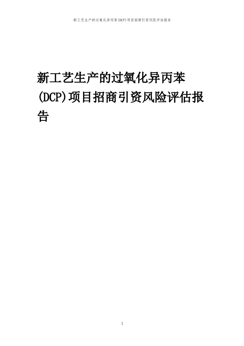 新工艺生产的过氧化异丙苯(DCP)项目招商引资风险评估报告