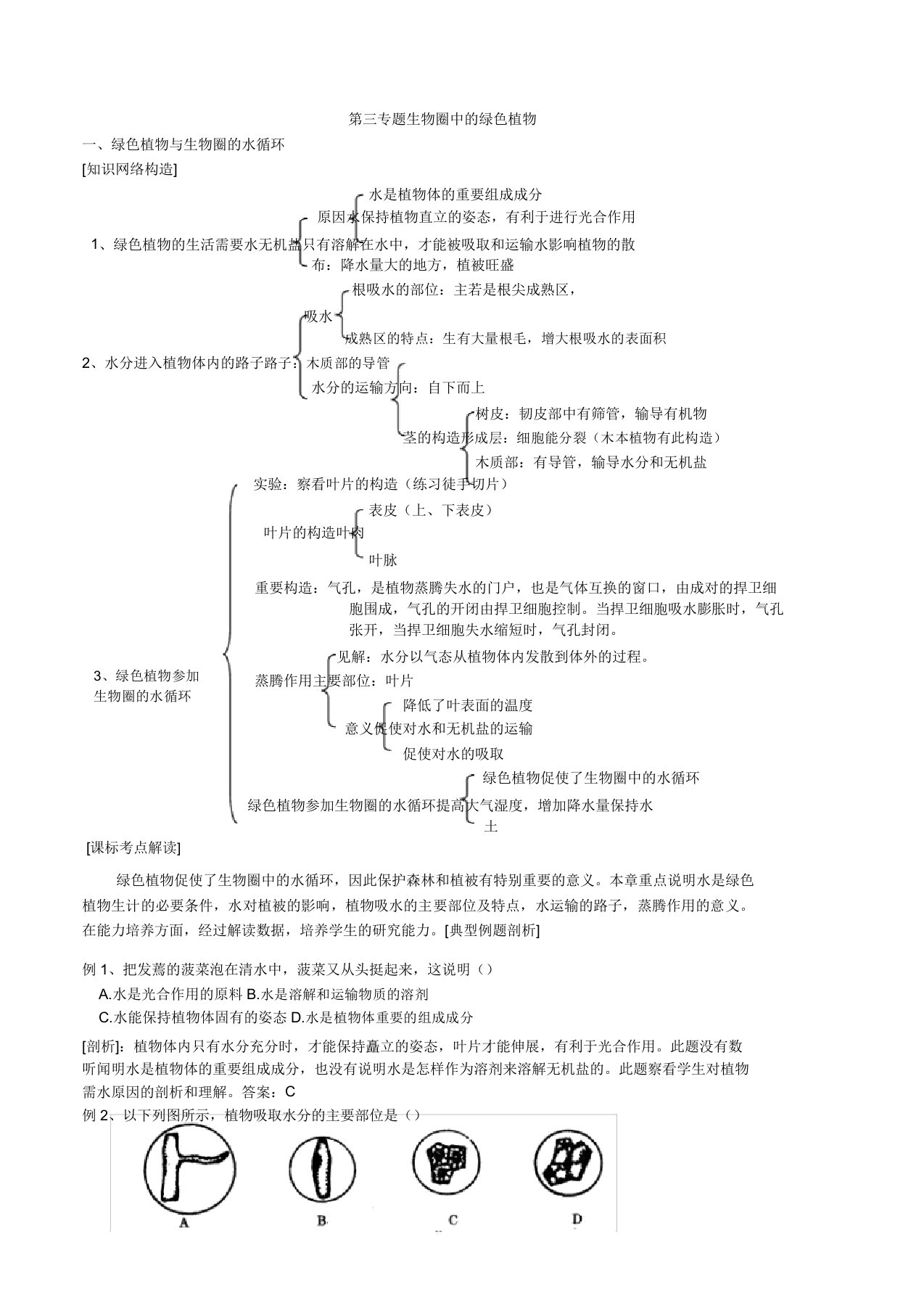 初中生物生物圈中绿色植物知识点习题及解答