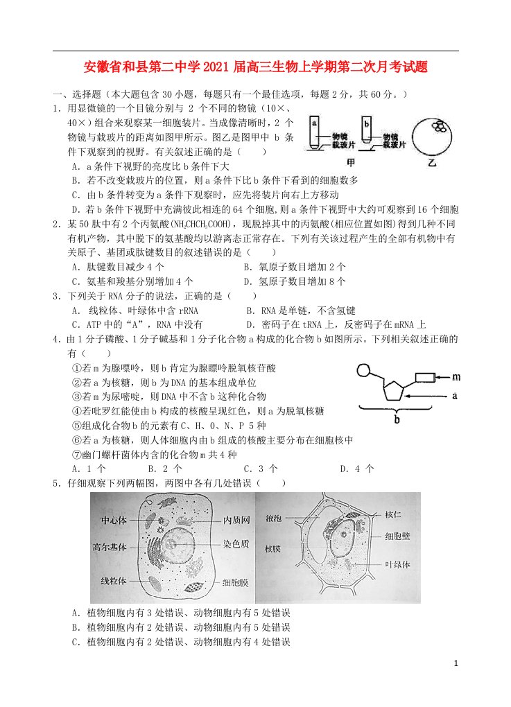 安徽省和县第二中学2021届高三生物上学期第二次月考试题