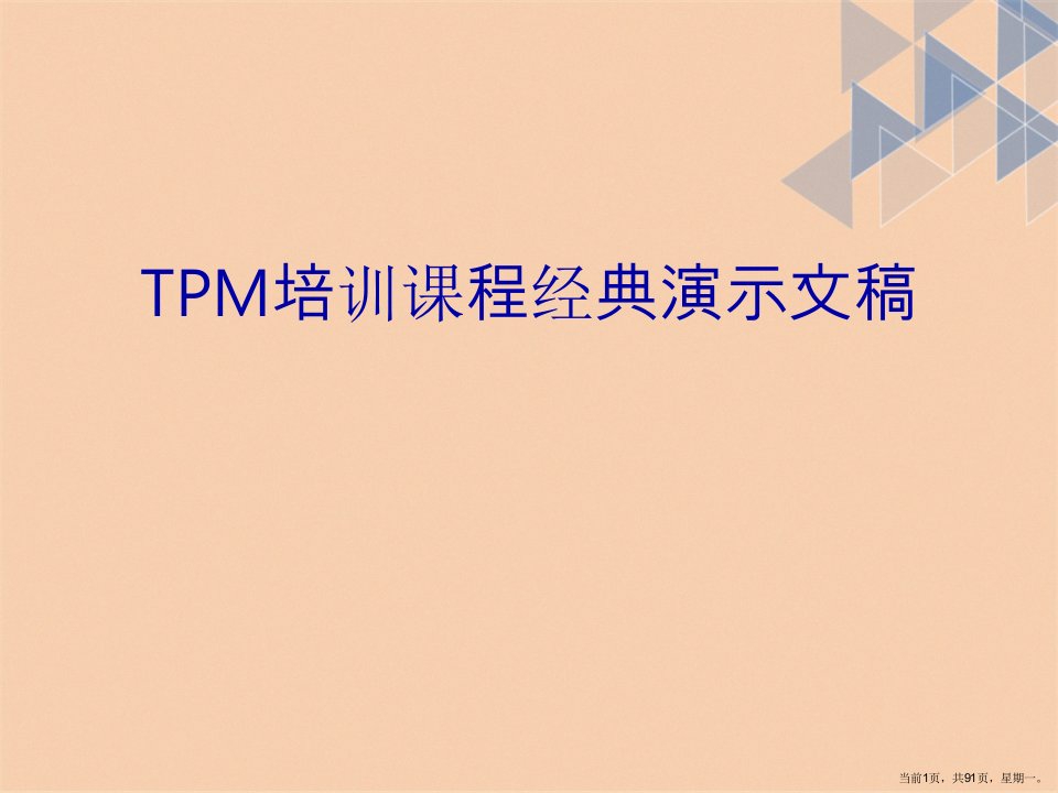 TPM培训课程经典演示文稿