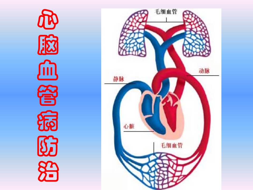 心脑血管病防治