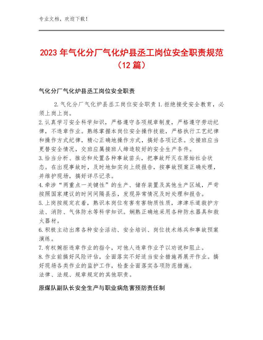 2023年气化分厂气化炉县丞工岗位安全职责规范（12篇）