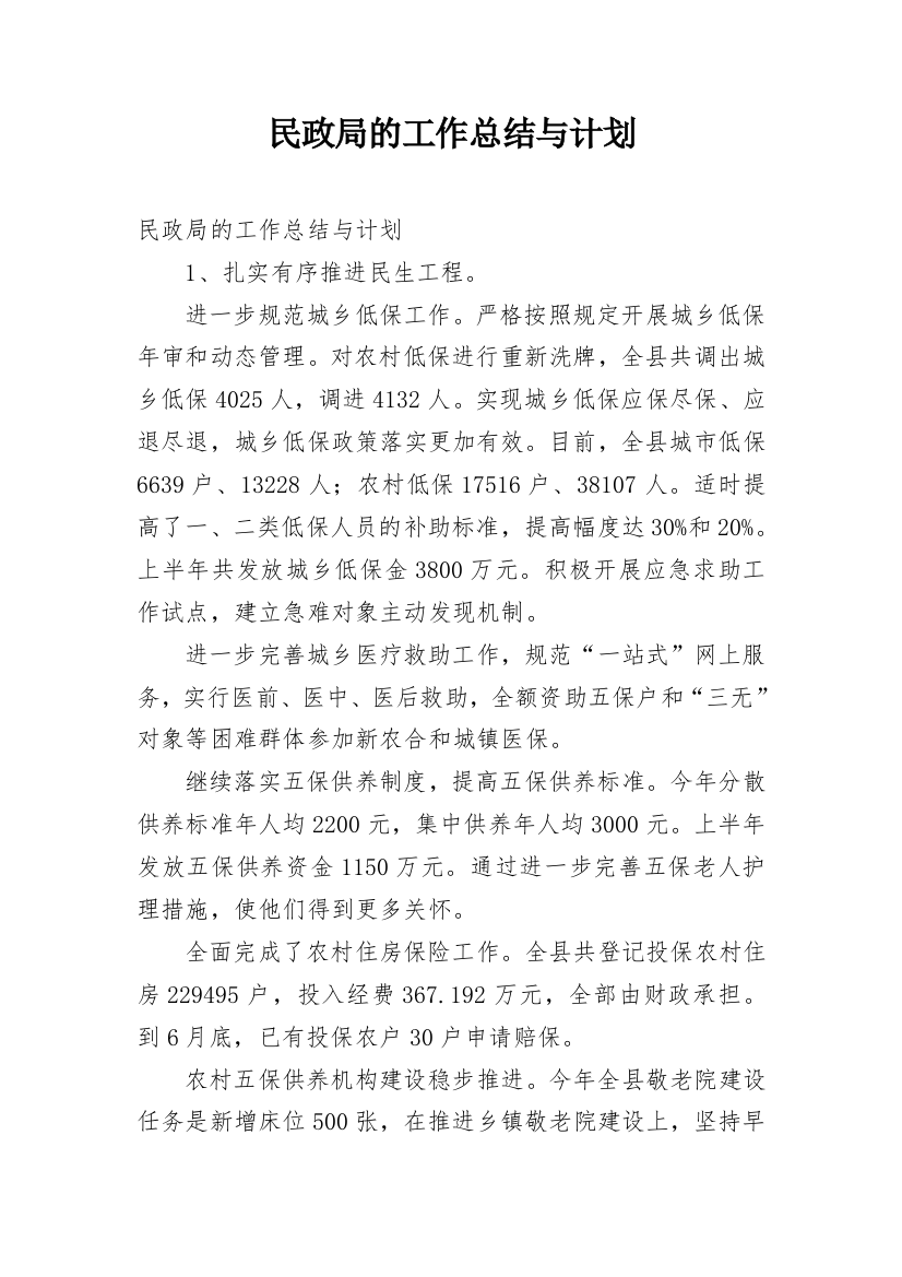 民政局的工作总结与计划