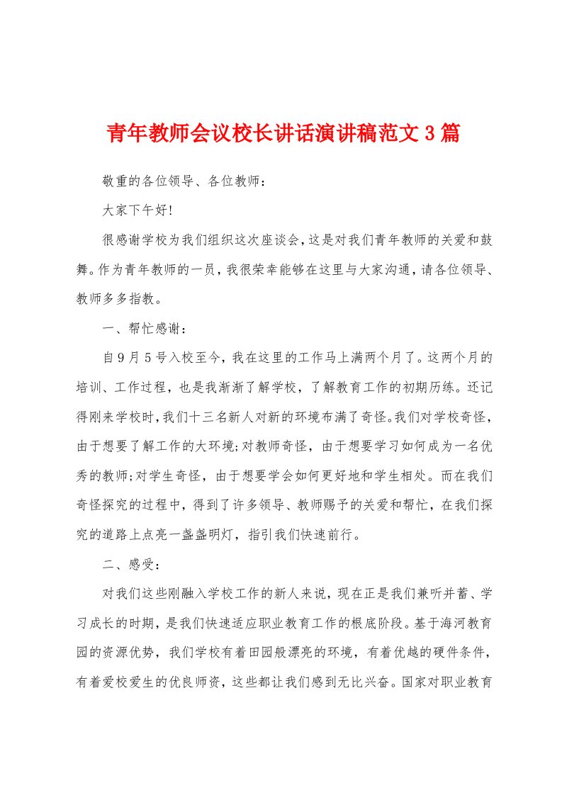 青年教师会议校长讲话演讲稿范文