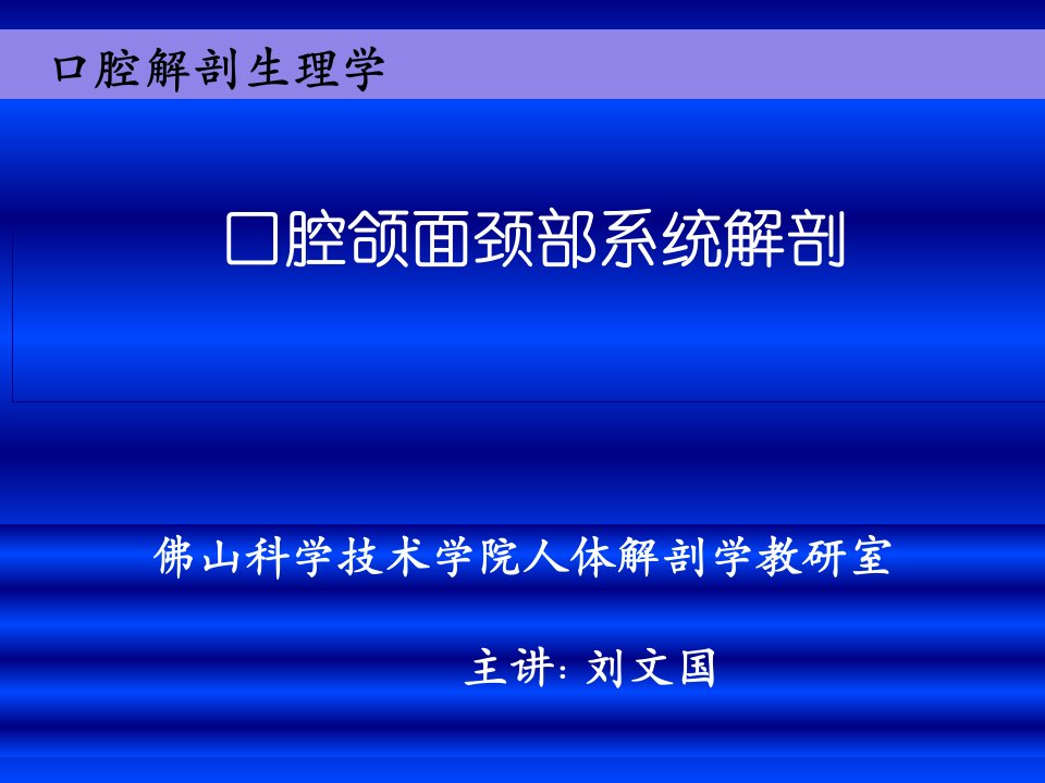 口腔面颈部系统解剖上下颌骨