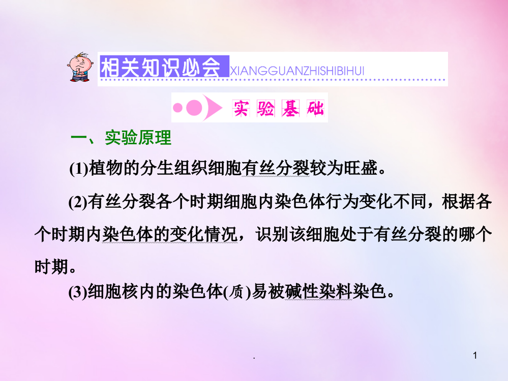 高考生物一轮复习-重点实验课六制作并观察植物细胞有丝分裂的临时装片-浙教版必修