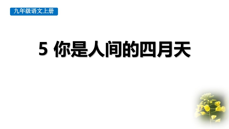 2024部编版语文九年级上册教学课件5