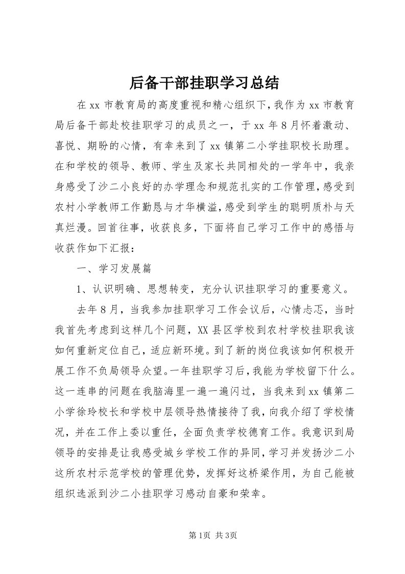 3后备干部挂职学习总结