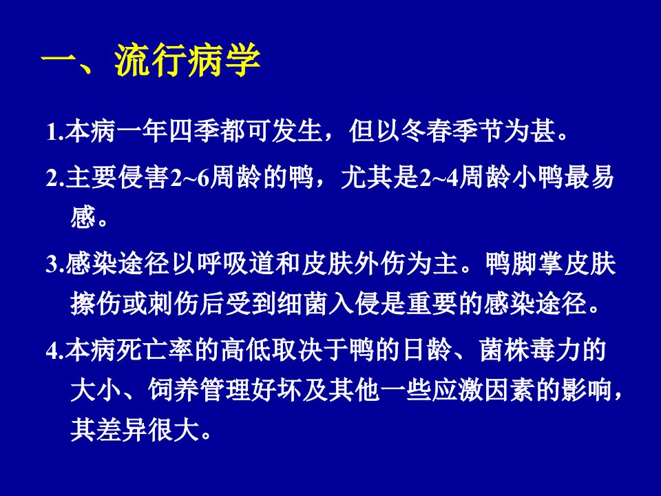 医学专题鸭疫里默氏杆菌病