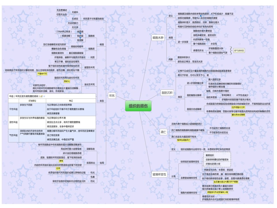 病理学思维导图ppt课件