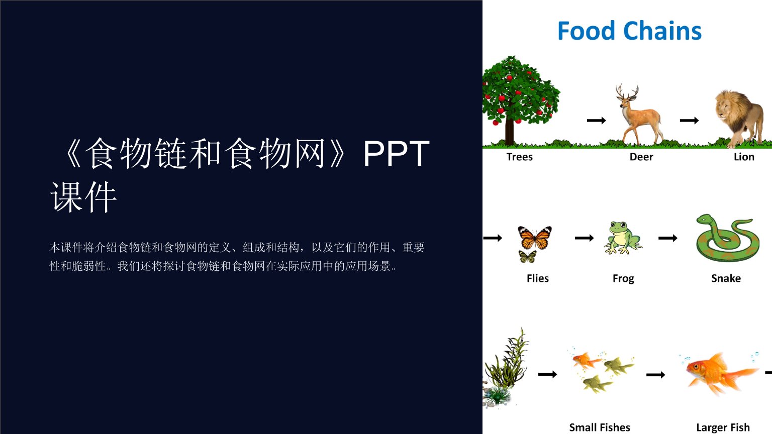 《食物链和食物网》课件