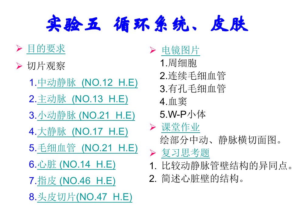 实验五循环系统皮肤