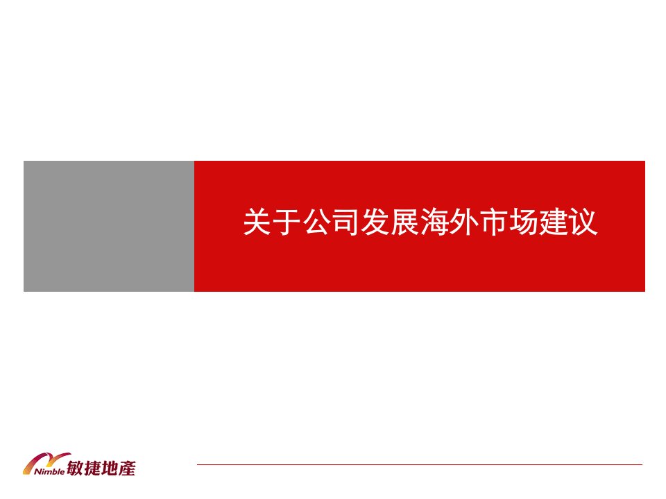 关于公司发展海外市场建议