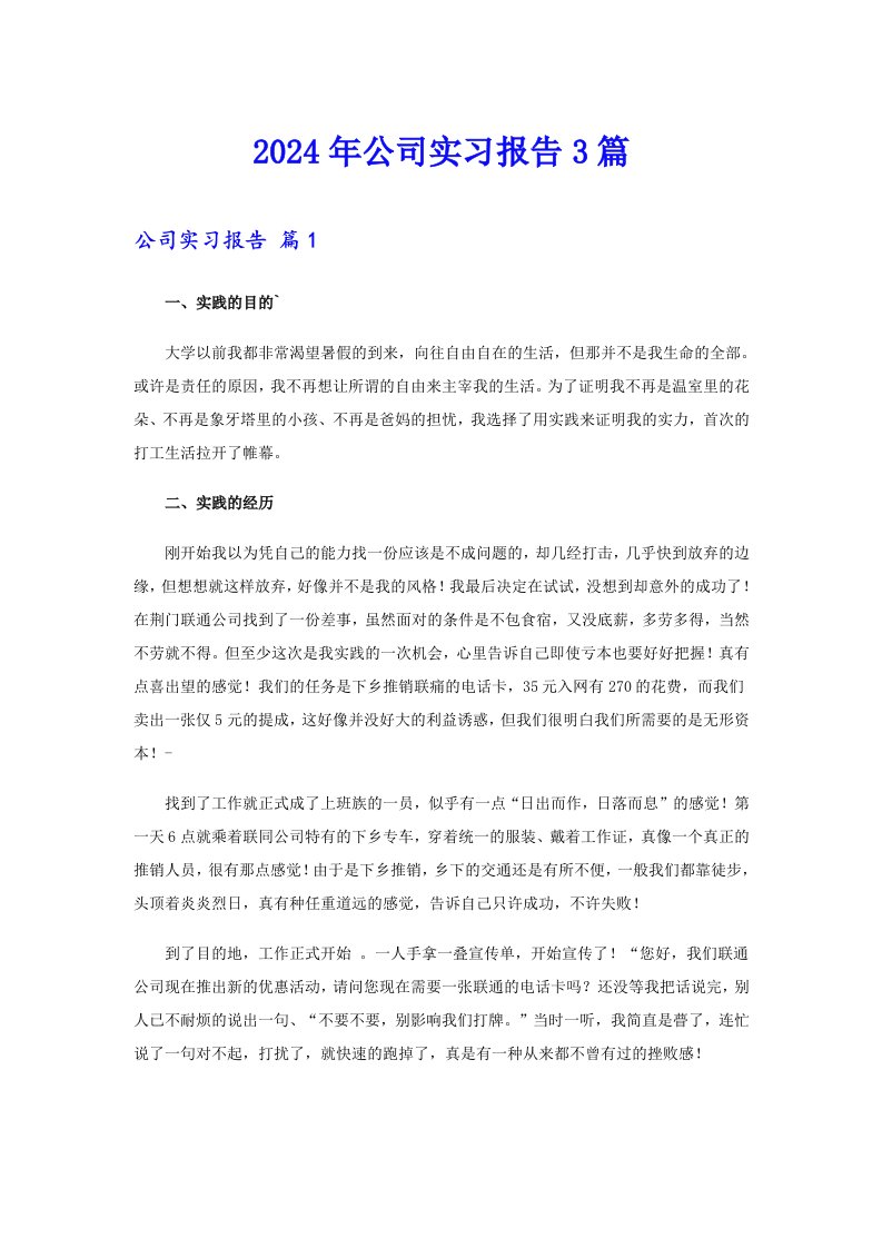 2024年公司实习报告3篇（多篇汇编）