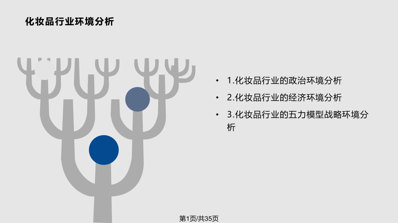 中国化妆品SWOT分析PPT课件