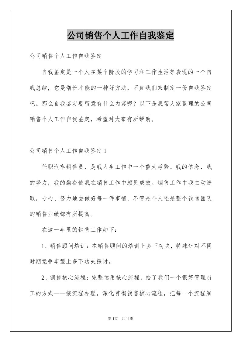 公司销售个人工作自我鉴定例文