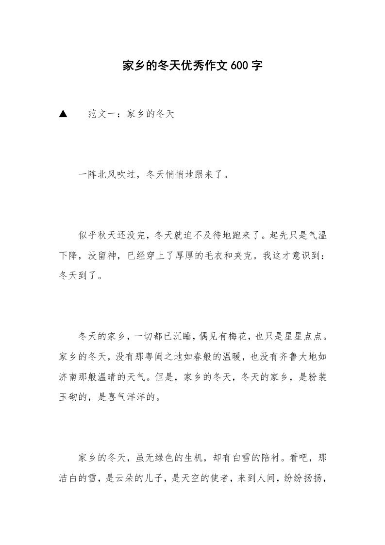 家乡的冬天优秀作文600字