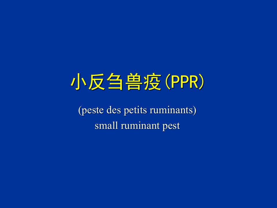 反刍动物传染病小反刍兽疫(ppr)教学讲义