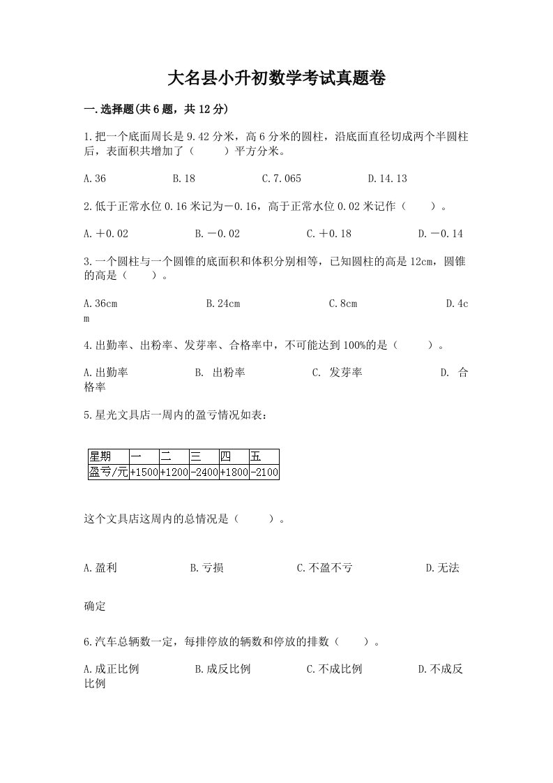 大名县小升初数学考试真题卷完美版