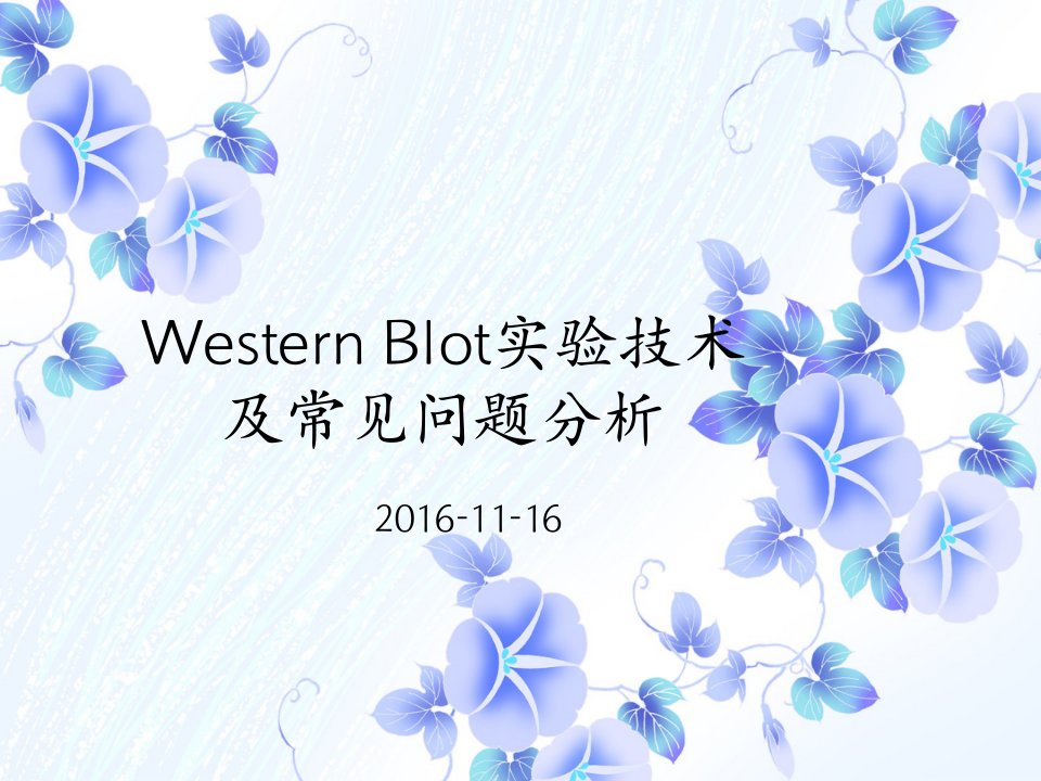 western-blot原理及操作流程1116PPT课件