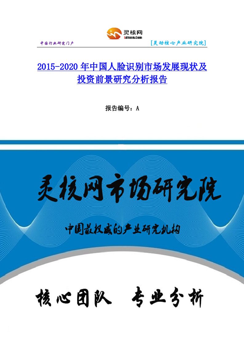 中国人脸识别行业市场分析与发展趋势研究报告灵核网