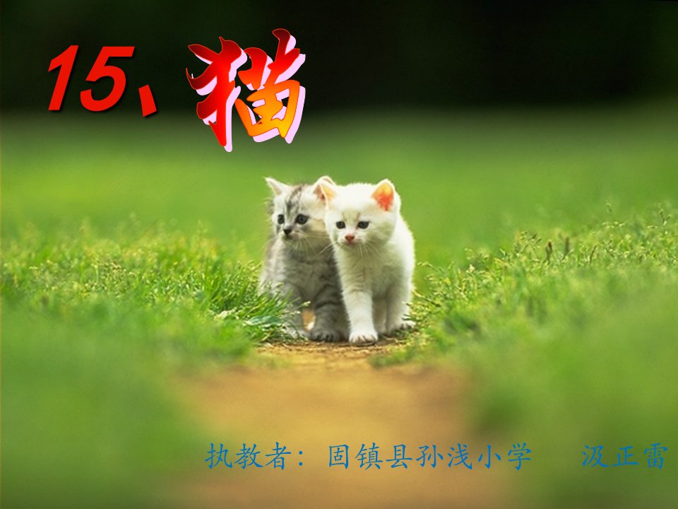 【公开课优质课课件】《猫》老舍(公开课课件)