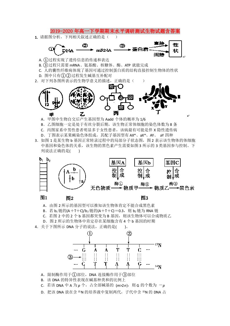 2019-2020年高一下学期期末水平调研测试生物试题含答案