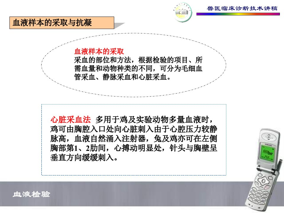 最新兽医临床诊断技术讲稿课件