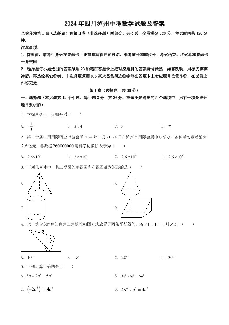 2024年四川泸州中考数学试题及答案