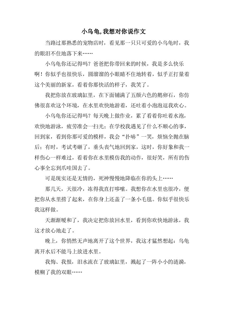 小乌龟,我想对你说作文