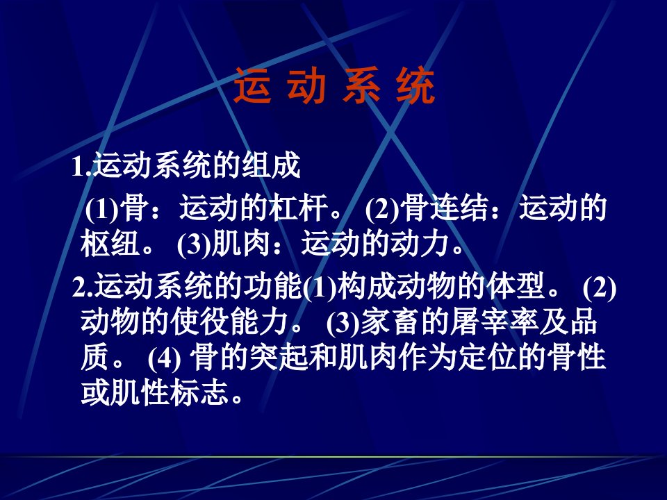 畜禽解剖学——运动系统