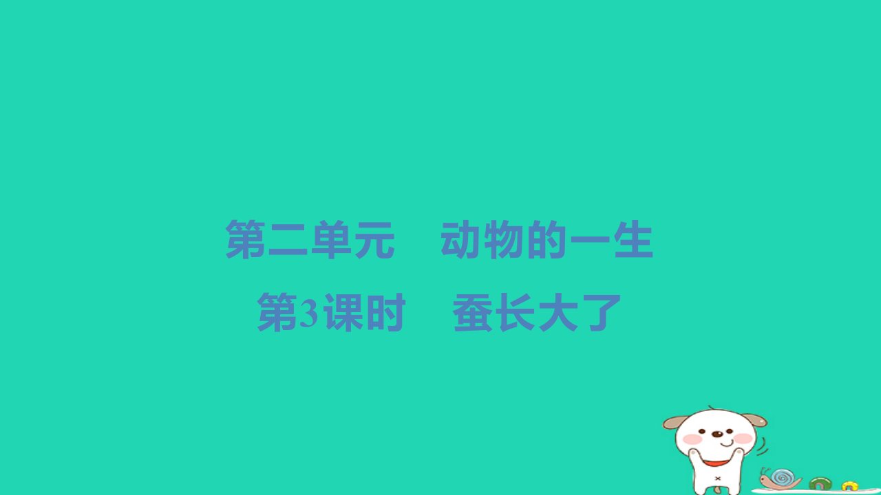 2024三年级科学下册第二单元动物的一生第3课时蚕长大了习题课件教科版