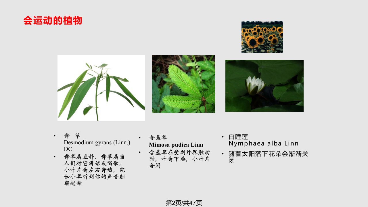 植物生理学丽水学院