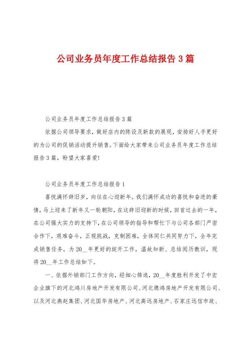 公司业务员年度工作总结报告3篇