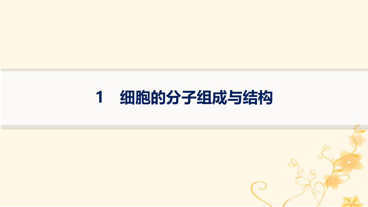 适用于新高考新教材2024版高考生物二轮复习知识对点小题练1细胞的分子组成与结构课件