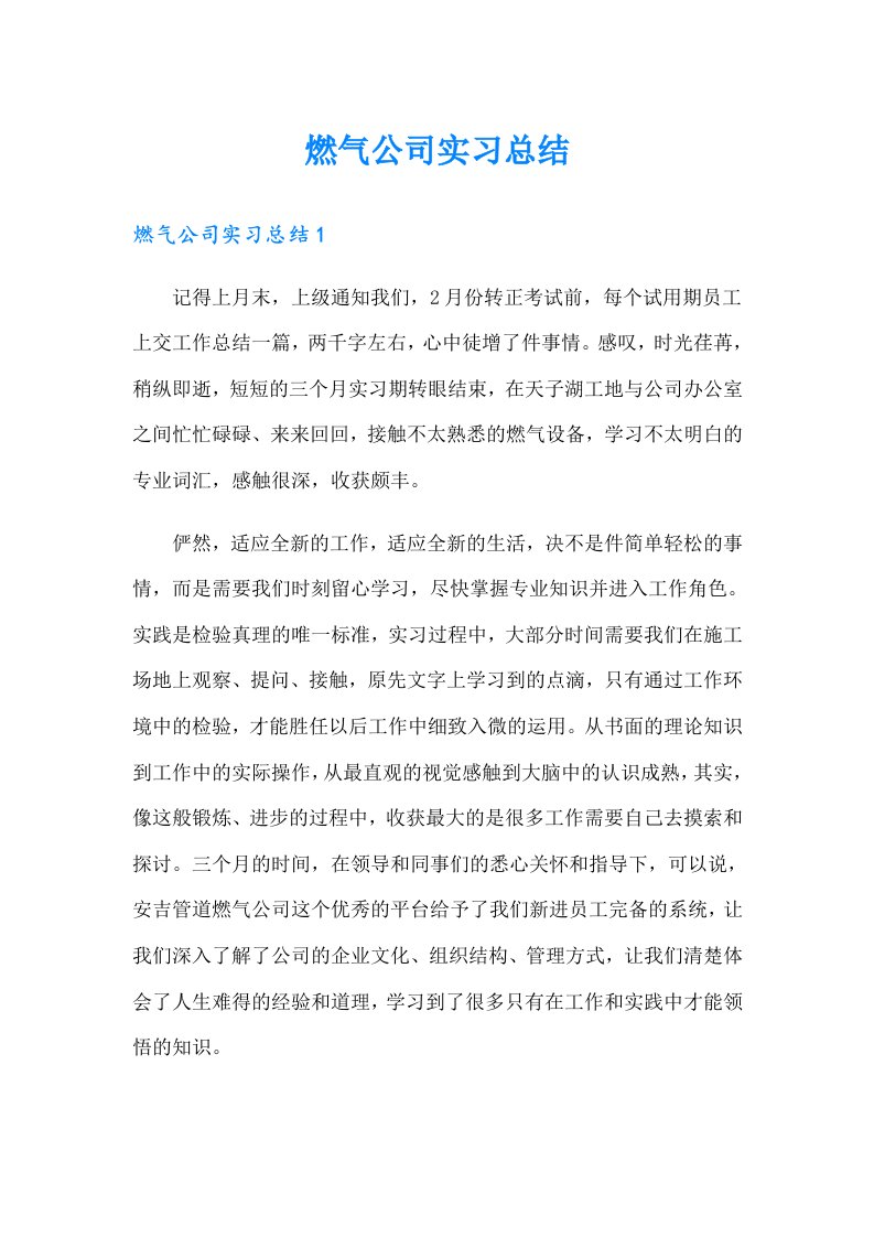 燃气公司实习总结