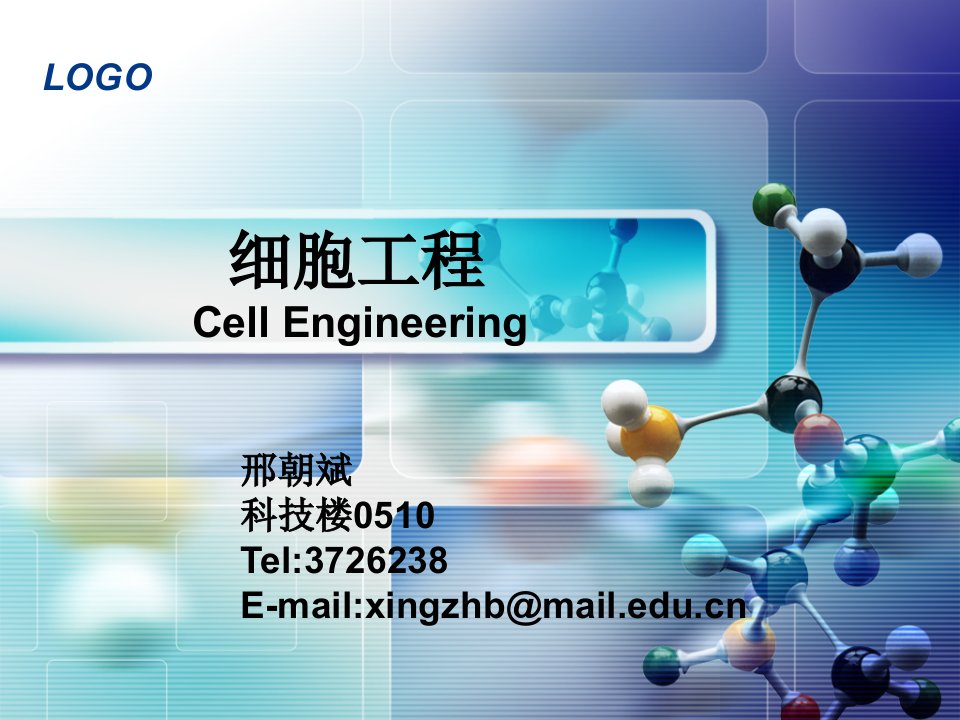 教学课件PPT植物细胞工程的理论基础