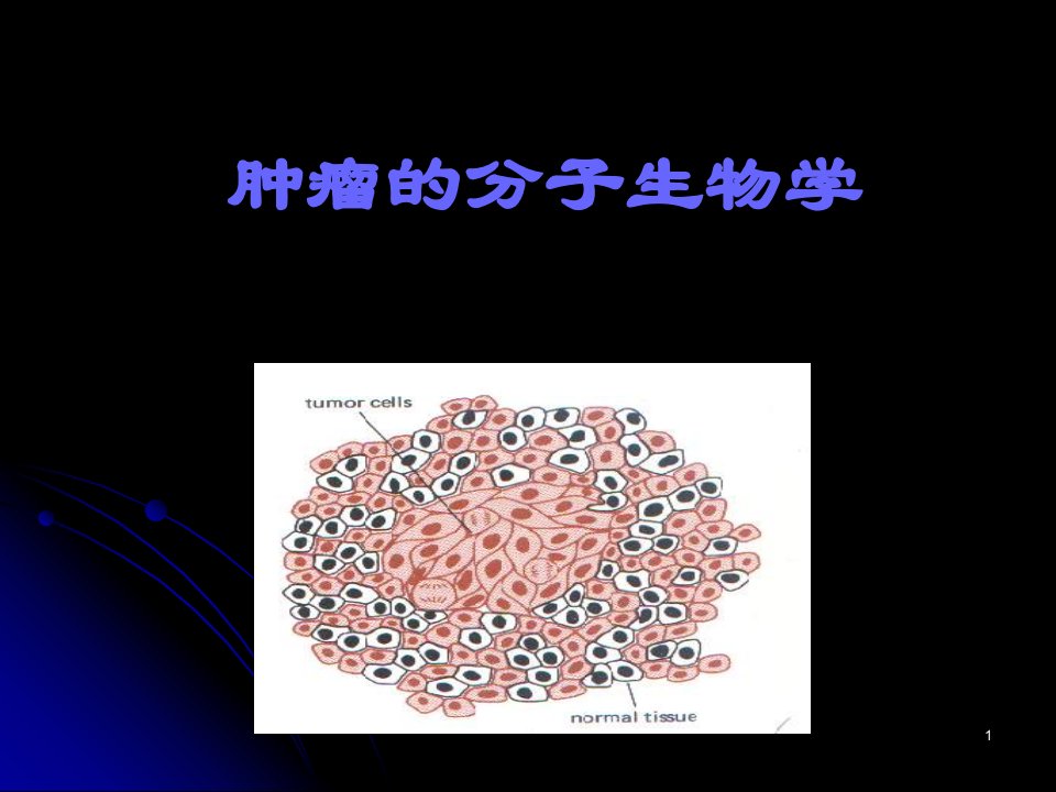 生物化学和分子生物学5