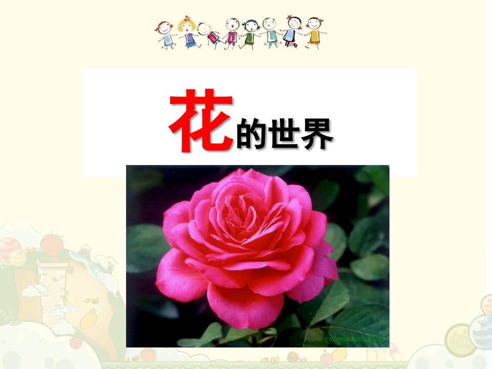 大班科学《花的世界》PPT课件幼儿园教学--花的世界