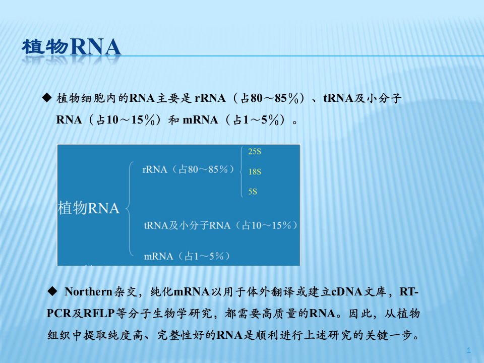 实验七植物组织RNA的提取