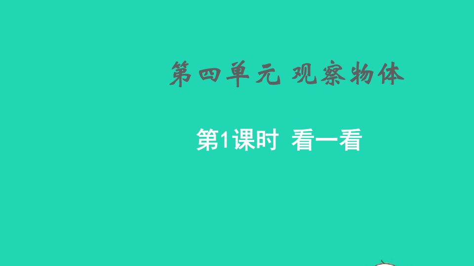 2022四年级数学下册四观察物体第1课时看一看教学课件北师大版